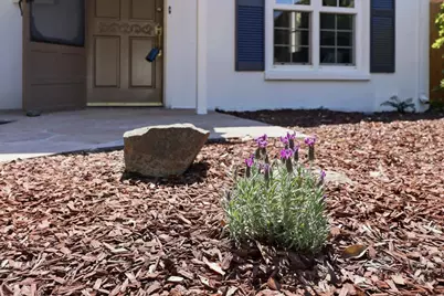 1019 Riverton Dr, San Carlos, CA 94070 - Photo 6