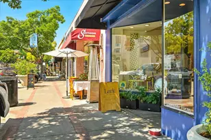 1019 Riverton Dr, San Carlos, CA 94070 - Photo 88