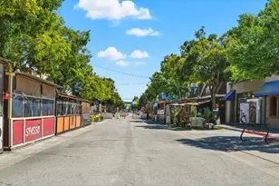 1019 Riverton Dr, San Carlos, CA 94070 - Photo 86