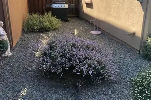 10864 Peerless Ct, Oakland, CA 94603 - Photo 6