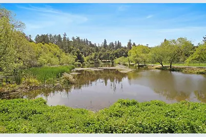 75 Redwood Dr, La Honda, CA 94020 - Photo 40