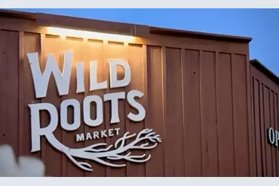 1666 Creek Dr, Felton, CA 95018 - Photo 52