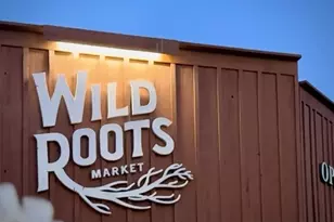 1666 Creek Dr, Felton, CA 95018 - Photo 52