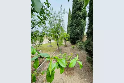 1227 Letitia Ct, San Jose, CA 95122 - Photo 22