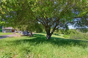 12390 Gigli Ct, Los Altos Hills, CA 94022 - Photo 56