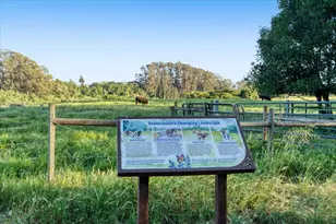 1190 7th Ave 3, Santa Cruz, CA 95062 - Photo 52