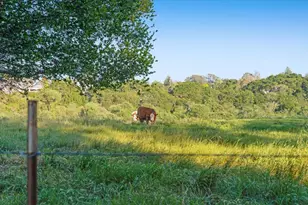 1190 7th Ave 3, Santa Cruz, CA 95062 - Photo 54