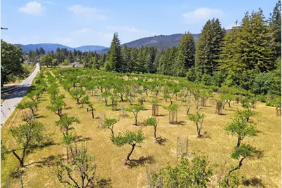 24580 Loma Prieta Ave, Los Gatos, CA 95033 - Photo 32