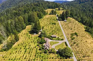 24580 Loma Prieta Ave, Los Gatos, CA 95033 - Photo 26