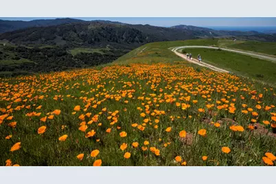 24 Vasquez Trl, Carmel, CA 93923 - Photo 18