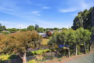 4175 George Ave 4, San Mateo, CA 94403 - Photo 26