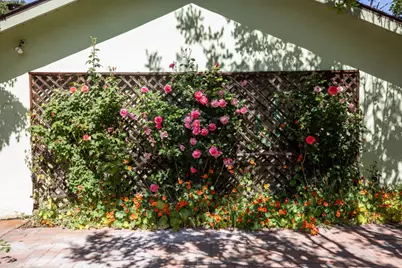 800 Loyola Dr, Los Altos, CA 94024 - Photo 30