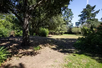 800 Loyola Dr, Los Altos, CA 94024 - Photo 34