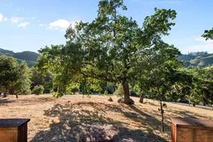 15208 Sycamore Dr, Morgan Hill, CA 95037 - Photo 90