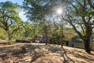 15208 Sycamore Dr, Morgan Hill, CA 95037 - Photo 88