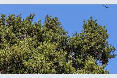 941 High Rd, Woodside, CA 94062 - Photo 10