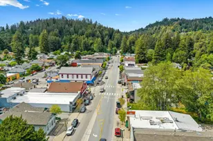 255 Brookside Dr, Boulder Creek, CA 95006 - Photo 58