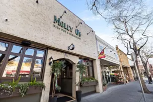 7 Lilly Ln, San Carlos, CA 94070 - Photo 44