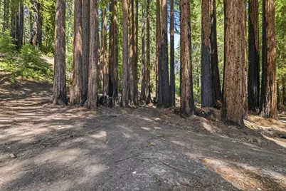 0 Band (Lot 15 &amp; 18) Rd, Boulder Creek, CA 95006 - Photo 20