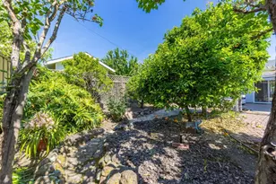 948 Anna St, San Mateo, CA 94401 - Photo 66