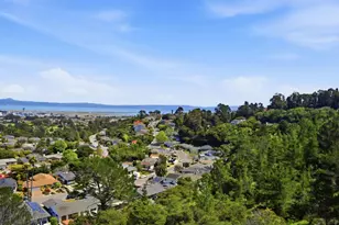 973 Larkspur Dr, Millbrae, CA 94030 - Photo 48