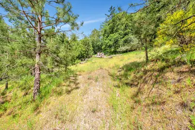 0 Zayante School, Felton, CA 95018 - Photo 14