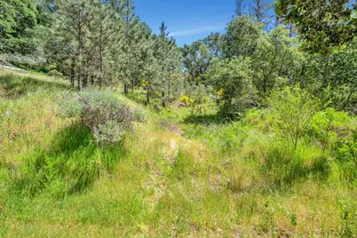 0 Zayante School, Felton, CA 95018 - Photo 12