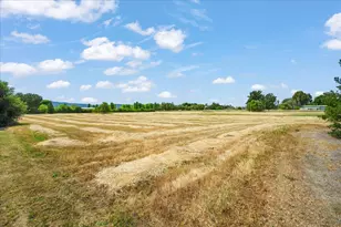 Godfrey Ave, Gilroy, CA 95020 - Photo 48