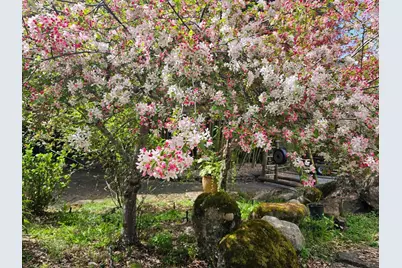 5601 Freedom Blvd, Aptos, CA 95003 - Photo 8