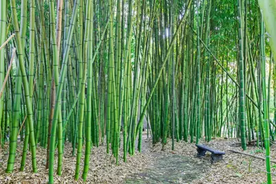 5601 Freedom Blvd, Aptos, CA 95003 - Photo 42