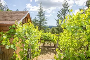 23059 Evergreen Ln, Los Gatos, CA 95033 - Photo 36