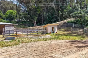 575 Snyder Ave, Aromas, CA 95004 - Photo 6