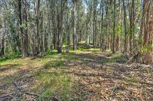 575 Snyder Ave, Aromas, CA 95004 - Photo 32