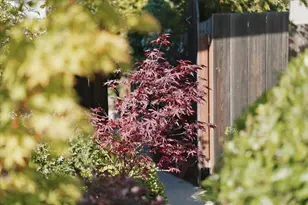 550 Helen Dr, Millbrae, CA 94030 - Photo 120