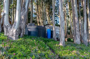2570 Purisima Creek Rd, Half Moon Bay, CA 94019 - Photo 72