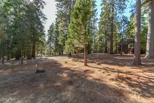 20175 E Pine Dr, Pioneer, CA 95666 - Photo 64