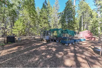 20175 E Pine Dr, Pioneer, CA 95666 - Photo 58