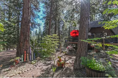 20175 E Pine Dr, Pioneer, CA 95666 - Photo 60