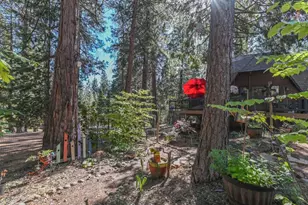 20175 E Pine Dr, Pioneer, CA 95666 - Photo 60