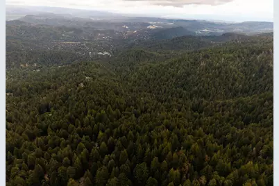 295 Jims Rd, Ben Lomond, CA 95005 - Photo 128