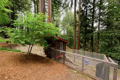 295 Jims Rd, Ben Lomond, CA 95005 - Photo 110