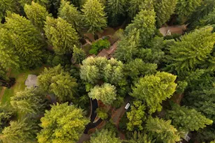 295 Jim's Rd, Ben Lomond, CA 95005 - Photo 134