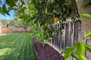 4080 Keith Dr, Campbell, CA 95008 - Photo 32