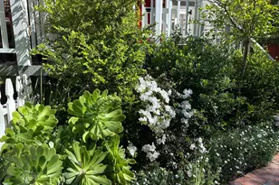 928-930 Scott St, Palo Alto, CA 94301 - Photo 36