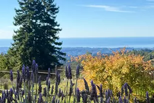 1061 Summit Rd, Watsonville, CA 95076 - Photo 8