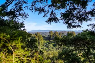 899 Calabasas Rd, Watsonville, CA 95076 - Photo 76
