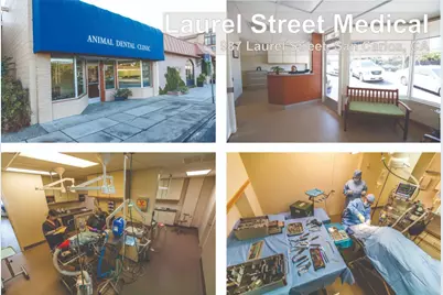 987 Laurel St, San Carlos, CA 94070 - Photo 4