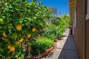 18665 Purissima Way, Morgan Hill, CA 95037 - Photo 28