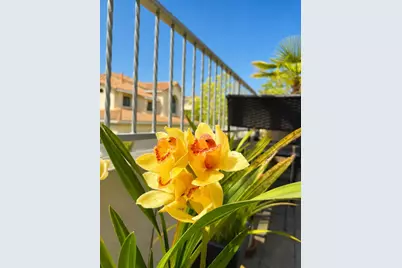 12 Clover Ln, San Carlos, CA 94070 - Photo 20