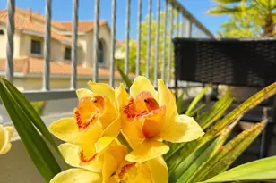12 Clover Ln, San Carlos, CA 94070 - Photo 20